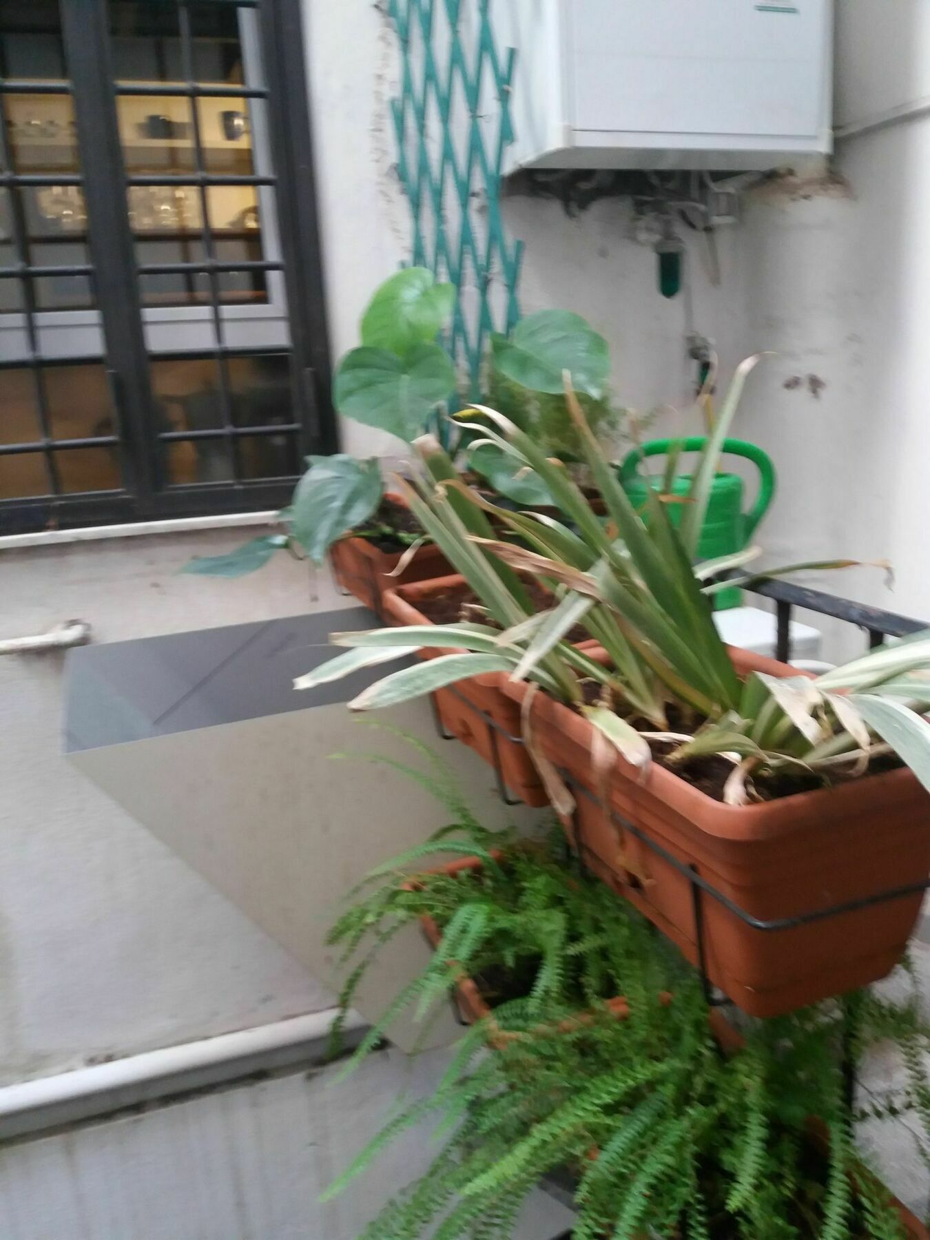 Campofiori Apartment Roma Ngoại thất bức ảnh